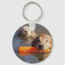 Search for golden retriever gifts Animals