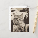 Search for sepia postcards Cat