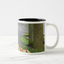 Search for holland park mugs Netherlands