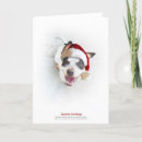 Search for adoption christmas cards Shelter