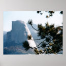 Search for halfdome Nature