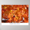Search for fall colour art Leaves