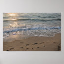 Search for footprint art Photography