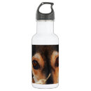 Search for sweet brown drinkware Dog