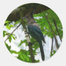 Search for yosemite park stickers Nature