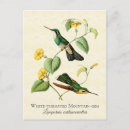 Search for throat postcards Green