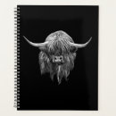 Search for scottish highland cattle office supplies Scotland