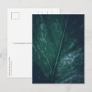 Search for faded postcards Leaf