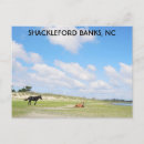 Search for wild horses postcards Animal