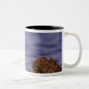 Search for sea otter mugs Bradley ireland