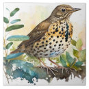 Search for solid green tiles Ceramic