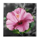 Search for bud tiles Petals