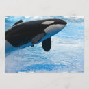 Search for killer invitations Fish