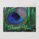 Search for love peacocks postcards Thank you