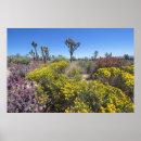 Search for preservation posters Flowers