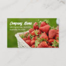 Search for vegetarian vegan business cards Nutritionist