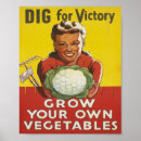 Search for dig for victory Vegetables