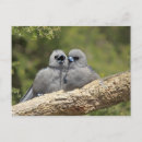 Search for facing postcards Outdoors