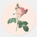 Search for redoute stickers Floral
