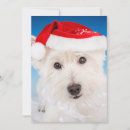 Search for beard christmas cards Holiday animals