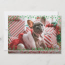 Search for paw print christmas cards Dog