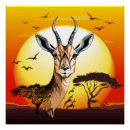Search for gazelle posters Antelope