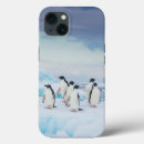 Search for antarctica cases Snow