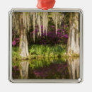 Search for nobody christmas tree decorations Flower