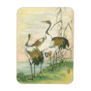Search for oriental magnets Bird