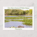 Search for wildlife postcards Photography