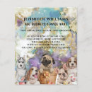 Search for animals design flyers Business