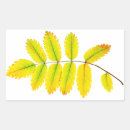 Search for tree leaves stickers Yellow