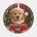 Search for golden retriever christmas tree decorations Puppy