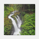 Search for rain forest magnets Landscape
