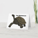 Search for tortoise cards Reptile