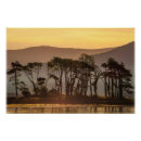 Search for hours posters Silhouette