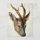 Search for durer postcards Animal