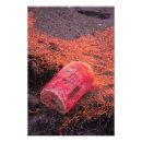 Search for buoy posters Surf
