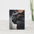 Search for portrait note cards Face
