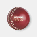 Search for testing magnets Test match
