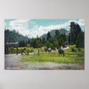 Search for camping ground postcards Grounds