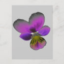 Search for dark yellow postcards Purple