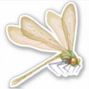 Search for bohemian car accessories Trendy