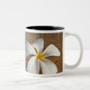 Search for eggers mugs Nature
