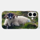 Search for rams iphone cases Sheep