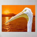 Search for corfu posters Nature