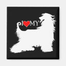 Search for afghans magnets Pet
