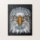 Search for eagle puzzles Raptor