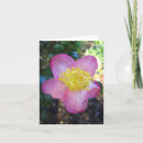 Search for winters note cards Pink