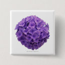 Search for shot badges Purple